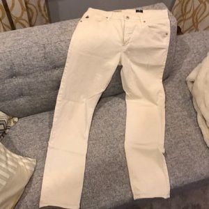 AG 33x34 Bone Graduate - "Tailored Fit"